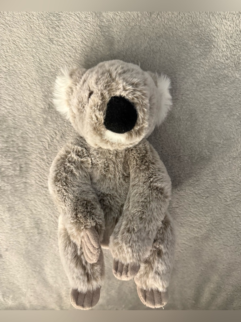 Douglas Koala
